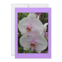 Orchid - Pink Blossom Personalized Invitations