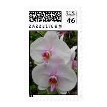 Orchid - Pink Blossom Postage