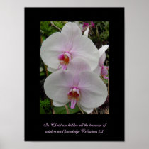 Orchid - Pink Blossom posters