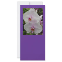 Orchid - Pink Blossom Full Color Rack Card