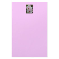 Orchid - Pink Blossom Customized Stationery