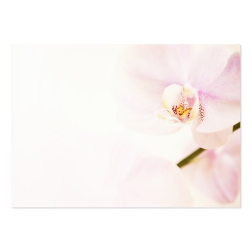 Orchid  - Pink High Key Flower - Floral Template Business Card Templates (front side)