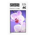 Orchid postage by nimpero Orchid postage