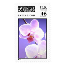 Orchid postage