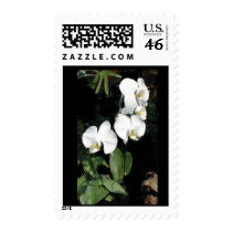 Orchid postage