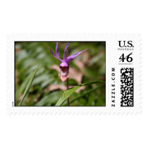 Orchid postage by creativesam Orchid postage