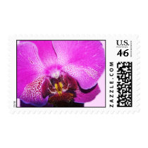 Orchid Postage stamps
