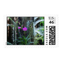 Orchid Postage postage