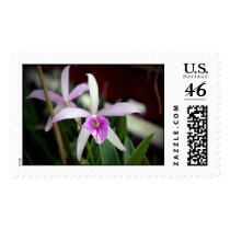 Orchid postage