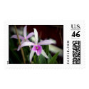 Orchid postage