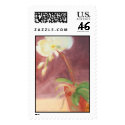 Orchid postage