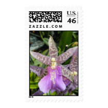 Orchid postage by SweetRascal Orchid postage
