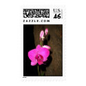 Orchid postage