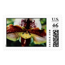 Orchid postage by Jack_of_Arts Orchid postage