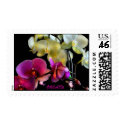 ORCHID postage