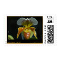 Orchid Postage postage by ZunigasArt Orchid Postage postage