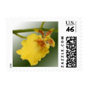Orchid Postage Stamp