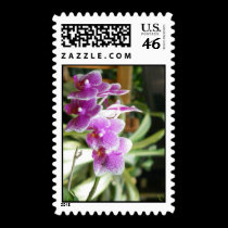 orchid postage stamps