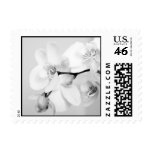 Orchid stamps