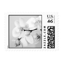 Orchid Postage Stamps