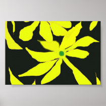 Orchid. Poster