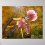 orchid posters