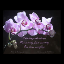 Orchid poster - Thinking Abundance posters