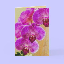 Orchid Promises Card ~ customizable original art