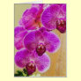 Orchid Promises Card ~ customizable original art