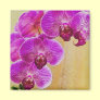 Orchid Promises Magnet ~ customizable original art