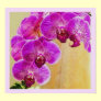 Orchid Promises Print