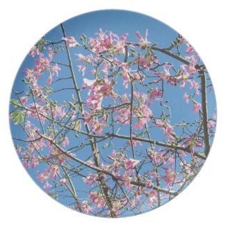 Orchid purple tree against bright blue sky