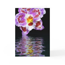 Orchid Reflection cards by SerenityFhotography Orchid Reflection cards