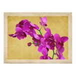 Orchid Romance Art Photo Print posters