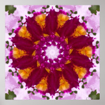 Orchid Rotating Nov 2012 Print