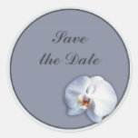 Orchid Round Stickers