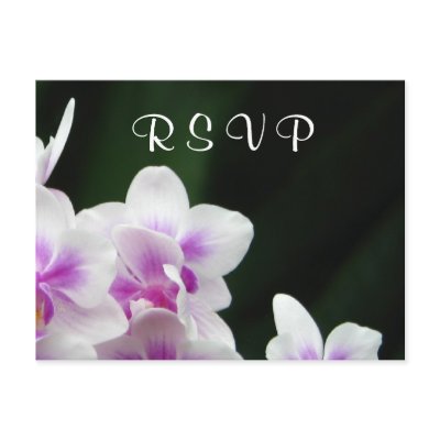Orchid RSVP Postcard