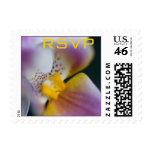 Orchid • RSVP Stamp