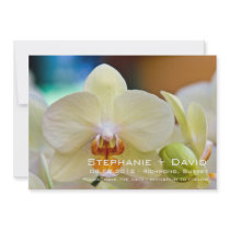Orchid • Save the Date Announcement