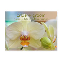 Orchid • Save the Date Card postcards