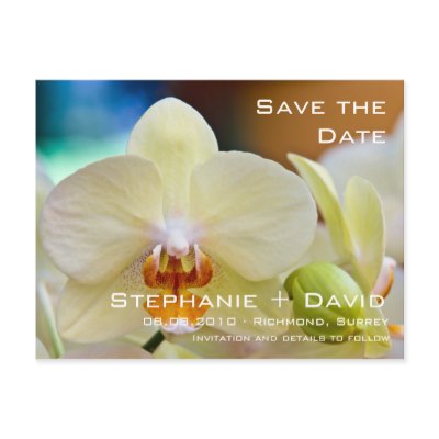 Orchid Save the Date Card postcard