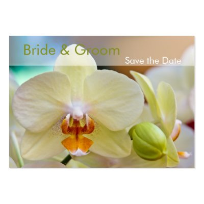 Orchid Save the Date Mini Card Business Card Template by SabineStGreetings