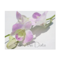 Orchid Save the Date Postcard by WeddingCentre Orchid Save the Date Postcard