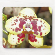 Orchid Six Mousepad mousepads
