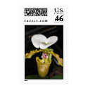 orchid spice postage