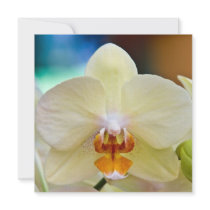 Orchid • Square Card / Invitation by SabineSt Orchid • Square Card / Invitation