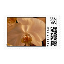 Orchid Stamp