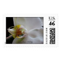 orchid stamp