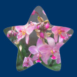 Orchid Star Sticker stickers