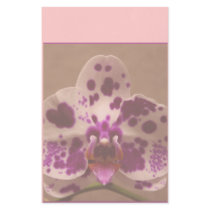 Orchid stationary stationery by ritmophoto Orchid stationary stationery